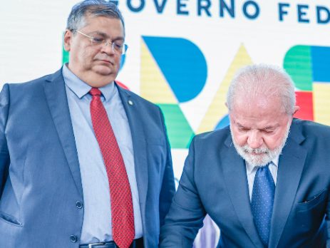 Qual é a lei do armamento?